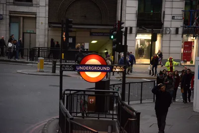 DSC_5647 (Large).JPG